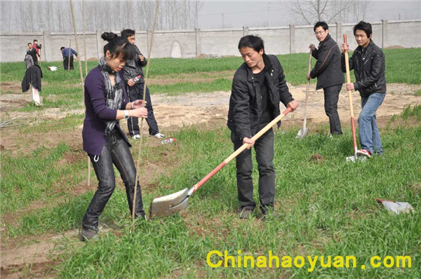 sunbet官网-不凡成就非凡,相信品牌的力量